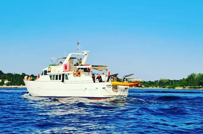 Sunset Cruise from Umag: Dolphin Spotting & Wine
