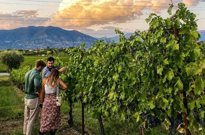 Franciacorta winery tasting: Cellar tour with local wines