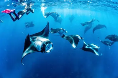 Snorkeling a Nusa Penida: Tour privato in barca e alle scogliere