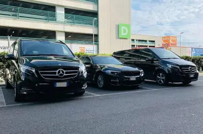 Private Transfer IJmuiden Cruise Port to Rotterdam Hotels