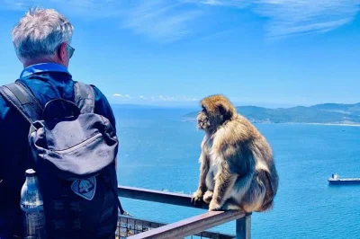 Explore gibraltar’s top sights with a local guide—see barbary monkeys, st. michael’s cave, and epic views. small group tour with tickets included.