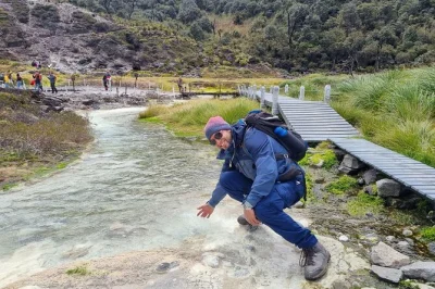 Observa de cerca cóndores andinos, camina hasta cascadas y explora paisajes de páramo en una excursión guiada por el parque nacional puracé. incluye transporte, almuerzo y guía local.