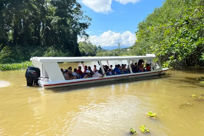Canopy en Limon: 14 plataformas sobre la copa del bosque tropical