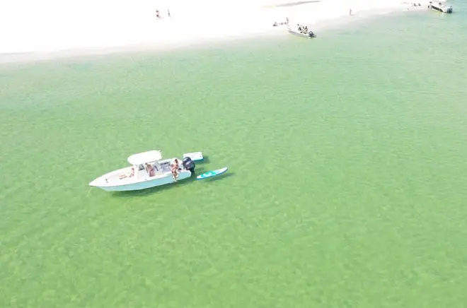 Tour privato in barca a Orange Beach: Delfini, isole e Flora-Bama