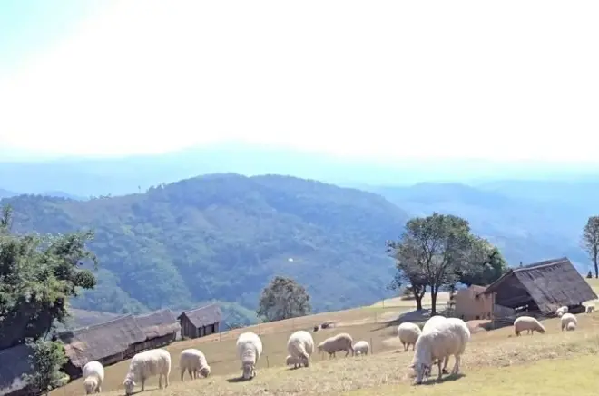Traslado de Chiang Rai a Chiang Mai com paradas cênicas