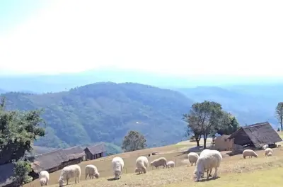 Trasferimento da Chiang Rai a Chiang Mai con soste panoramiche