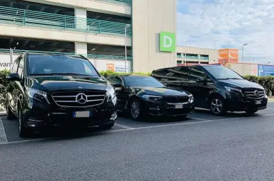 Cadiz to Seville Private Transfer: Door-to-Door Pickup