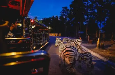 Singapore Night Safari: Geführte Tramfahrt & Spaziergänge mit Hoteltransfer