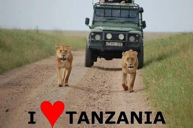 Safari 6 jours au Serengeti : Migration, big five, cratère Ngorongoro