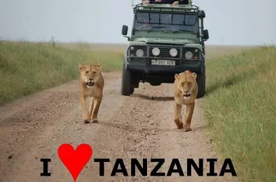 Safari 6 jours au Serengeti : Migration, big five, cratère Ngorongoro
