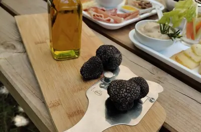 Truffle Hunting in Tuscany: Hunt and Taste with a Dog