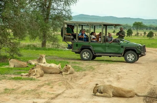 4-tägige Safari in Tansania: Ngorongoro-Krater und Tarangire