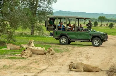 Safari de 4 dias na Tanzânia: Cratera de Ngorongoro e Tarangire