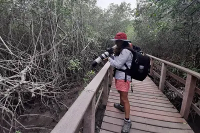 Churute Mangrove Reserve tour: Wildlife walking experience