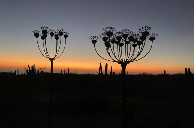 Earth Art Studio à Todos Santos : Créez une sculpture
