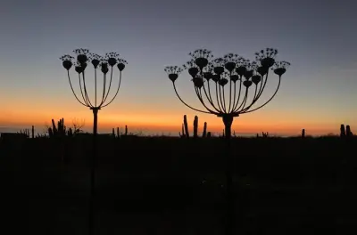 Earth Art Studio in Todos Santos: Eigene Skulptur gestalten