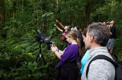 Monteverde Cloud Forest & Night Walk Tour: Full Day