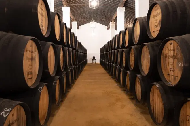 Jerez Winery Tour with Wine Tasting: Álvaro Domecq
