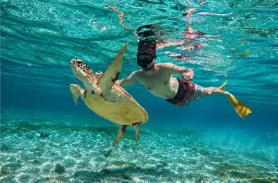 Schnorcheln bei den Gili-Inseln mit Schildkröten, Privatboot & GoPro