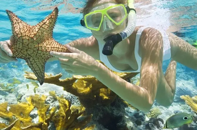 Plongée à Tiran depuis Sharm el Sheikh avec 2-3 arrêts récifs