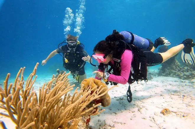 Scuba Diving Aruba: Beginner-Friendly First Dive