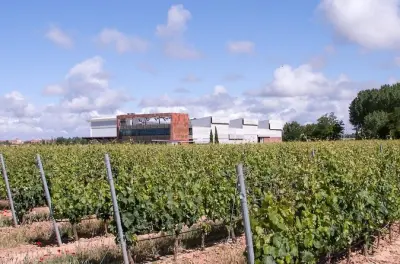 Cata de vinos en Aranda de Duero: 2 vinos y queso local