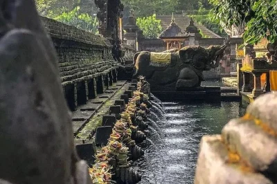 Private ubud tour with sacred monkey forest, tegalalang rice terrace, tirta empul temple, and coffee tasting. includes lunch and private guide.
