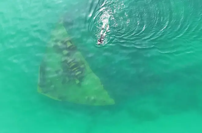 Snorkel no lago Michigan: Naufrágio Novadoc a 150 metros da costa