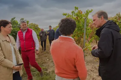 Bodega Martín Berdugo en Aranda de Duero: Tour y degustación