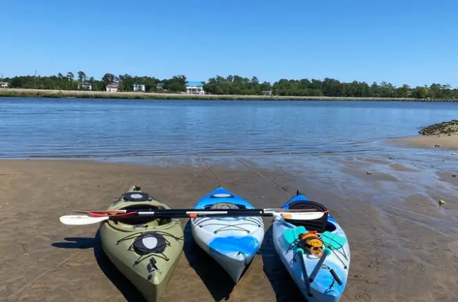 Shark Tooth Island Kajaktour: Paddeln auf dem Cape Fear River