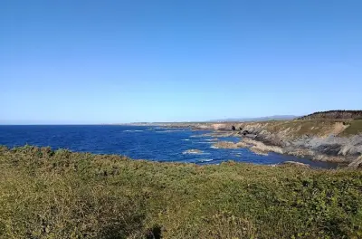 Bird watching tour Campo de Arnao: Coastal cliffs & lagoon