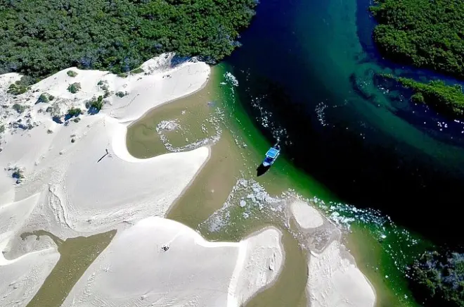 Bahia Magdalena: Navegue por manguezais, dunas e aves marinhas