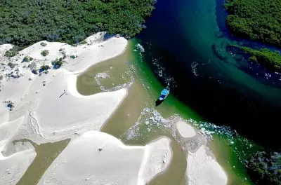 Bahia Magdalena: Navegue por manguezais, dunas e aves marinhas
