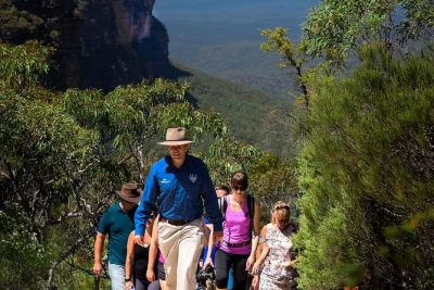 Explore a vida selvagem, trilhas incríveis e as três irmãs em um tour exclusivo pelas blue mountains saindo de sydney. inclui almoço, visita à fazenda e guia especialista.