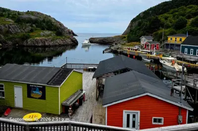 St. John's City and Coastal Private SUV Tour with Guide