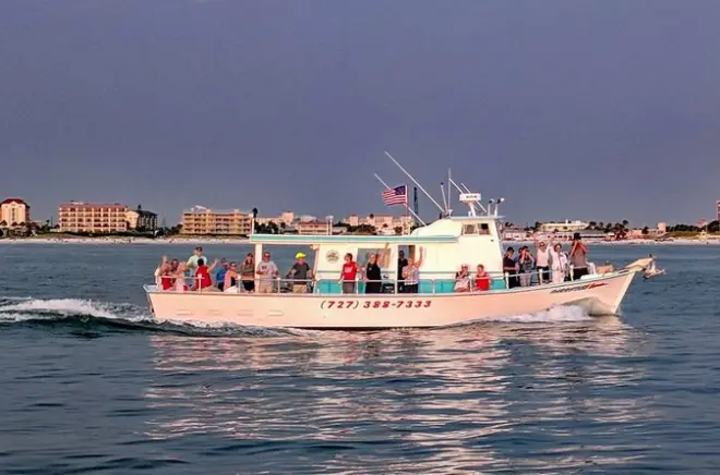 Snorkeling in Clearwater: Dolphins, shelling & drinks