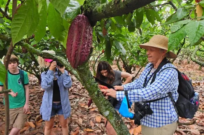 Cocoa Farm & Cloud Forest Tour from Guayaquil: Private Full Day