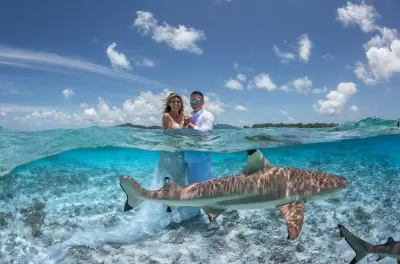 Private Aquatic Photography Tour Bora Bora: Resort to Lagoon