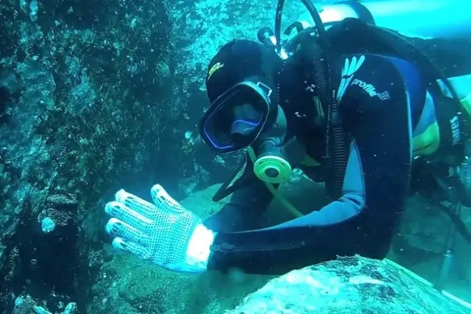 Immersioni a Trincomalee: Squali balena e relitti