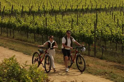 E-bike por viñedos de Costa Brava con cata de vinos incluida