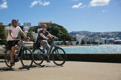 Wellington mit dem e-bike entdecken. parlament, mt. victoria lookout, weta workshop & gemütliche cafés in deinem tempo besuchen. halb- oder ganztagsmiete.