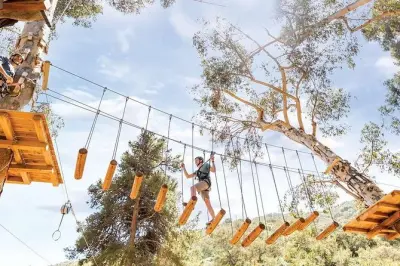 Catalina Island Kletterparcours: Fünf Parcours in den Bäumen
