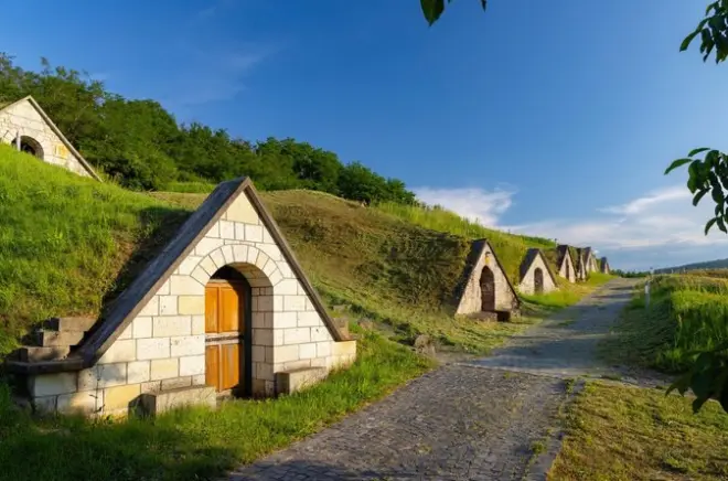Tokaj Wine Tasting: Six Wines in Hand-Carved Cellar