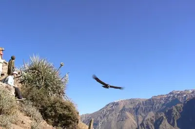 Colca Canyon ab Arequipa: Cruz del Cóndor zum Sonnenaufgang