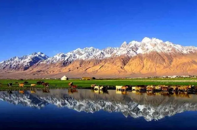 Xinjiang nord en 8 jours : Lac Sayram et mariage kazakh