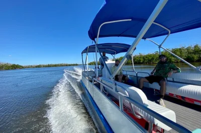 Florida 10.000 islands bootstour: delfine und manatees hautnah erleben, unberührte inseln erkunden mit us coast guard kapitän. start an der marina inklusive.