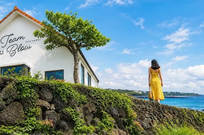 2-Tage Jeju UNESCO Tour: Kombination Südwest- & Ost-Highlights