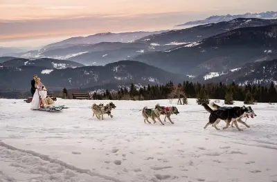 Dog sledding in Poland: Siberian Huskies and Norwegian Elkhounds