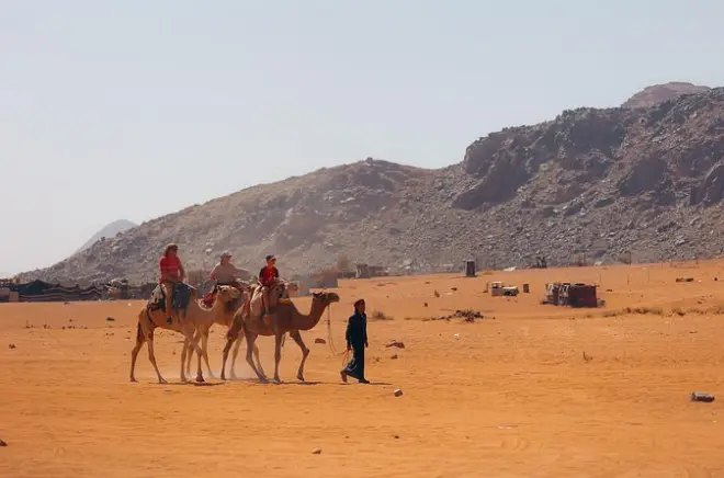 Wadi Rum 1 Tag & 1 Nacht: Jeep, Kamel & Wüstencamp