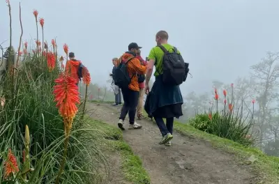 Vale de Cocora: Caminhada matinal de 10 km saindo de Salento